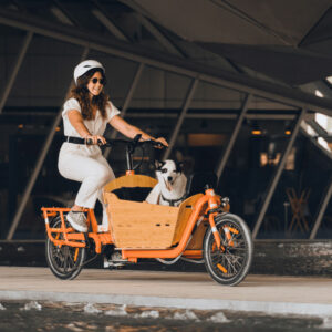 yuba bikes add ons bamboo box dog