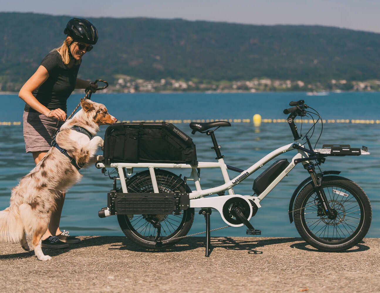 Transportez Votre Chien Partout Gr ce Au WoofTop Yubabikes Transportez Votre Chien Partout Gr ce Au WoofTop Yubabikes